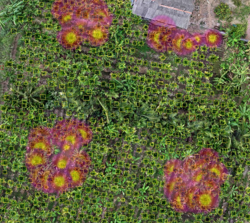Aerial drone scan with AI-detected tree boxes highlighting several disease and pest hotspot zones in the plantation