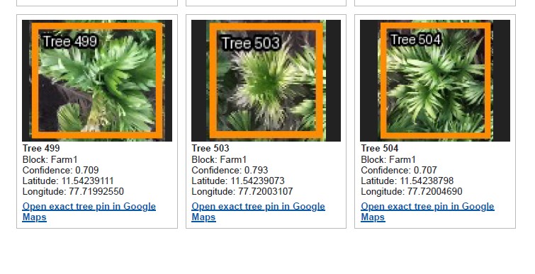 Aerial drone scan with a disease hotspot overlay and individually numbered unhealthy palm trees for field follow-up