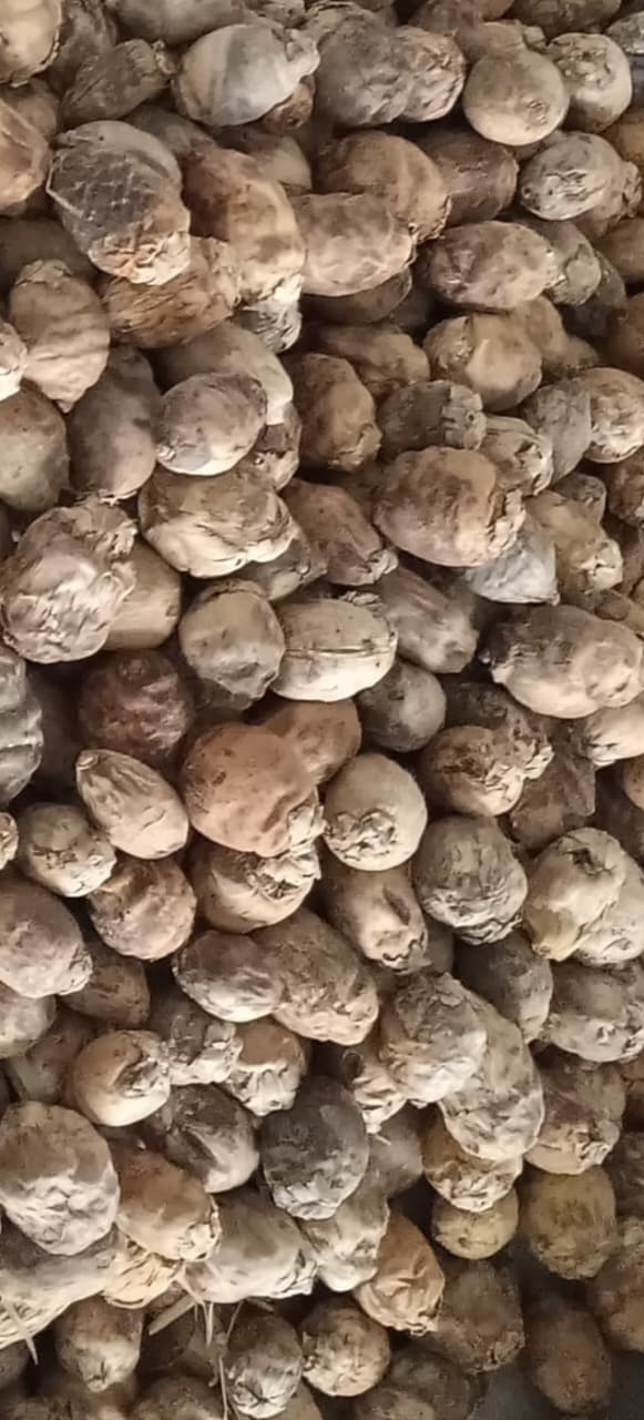 Sun-dried fruit · வர பாக்கு
